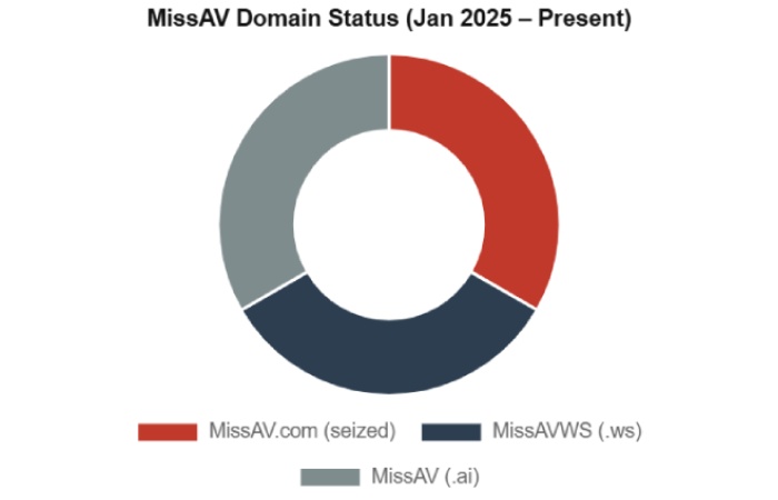 Why Did MissAVWS Choose the .ws Domain Extension