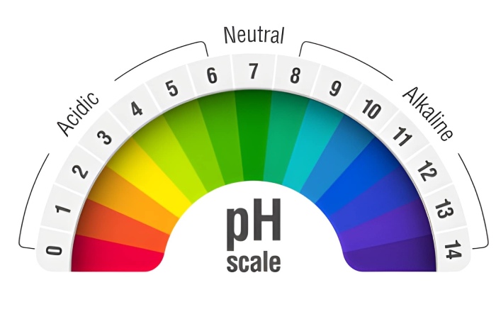 Regular pH levels in your body